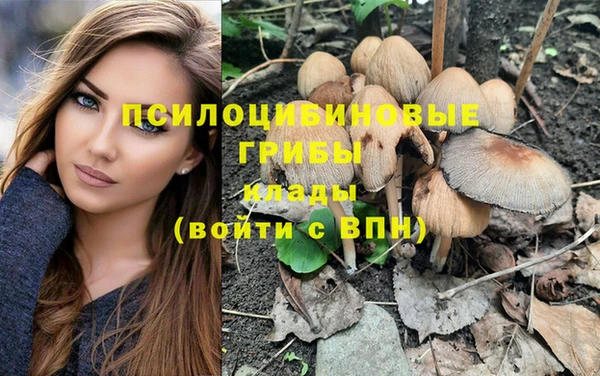 jwh Козельск