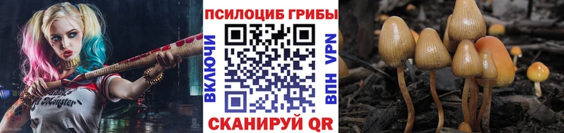 Галлюциногенные грибы GOLDEN TEACHER  Купить где  Белая Холуница 